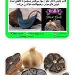 نمایندگی محصولات گانودرما