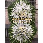 تاج گل وی آی پی