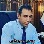 قصر بیمه دانا