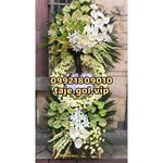 تاج گل وی آی پی