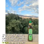 روغن سرای محمدی