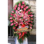 تاج گل وی آی پی