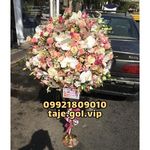 تاج گل وی آی پی