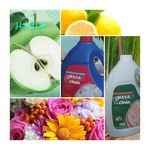 فروشگاه کلاتیانی