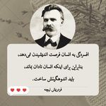 دکتر روانشناس روان درمانگر سمیرا انصاری