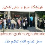 فروشگاه مرغ و ماهی شکری
