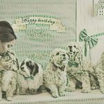 پانسیون خانگی سانی