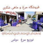 فروشگاه مرغ و ماهی شکری