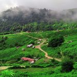 کلبه جنگلی ماسال