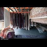 قالیشویی چهارفصل