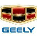 لوازم یدکی چینی (چراغ برق)