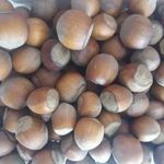 خشکبار اسفندیاری