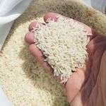 برنج طارم هاشمی فریدونکنار ارگانیک فلاح
