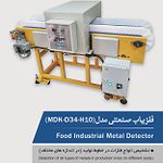 تنها سازنده فلزیاب صنعتی در ایران