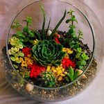 تراریوم پردیس