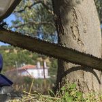 هرس کاری محمد