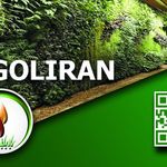 شرکت گلیران