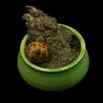 مطبخ ملوکانه