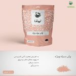 شرکت نیوشانیک