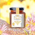 کارگاه بسته بندی عسل نبکا