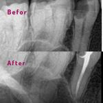 مطب دندانپزشکی (دکتر محمد محمدیان)