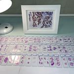 آزمایشگاه بیمارستان ناظران