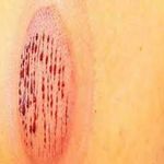 مرکز طب سنتی و سلامتکده هوبیش