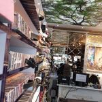 گالری سنجاقک - شهر کاغذ دیواری مشهد