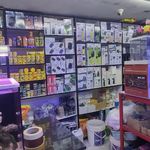 دنیایی ماهی و اکواریوم مهرسام