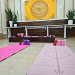 مرکز یوگا و اریال یوگا آرشیدا