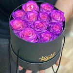 گلفروشی گل گندم آمل