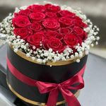 گلفروشی گل گندم آمل