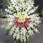 گلفروشی گل گندم آمل