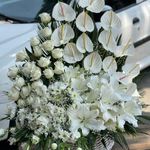 گلفروشی گل گندم آمل