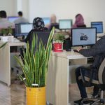 شرکت طراحی سایت و سئو دارکوب