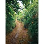 گلخانه و باغ بهار و گل