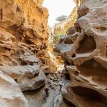 گشت جزیره قشم