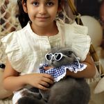 کلینیک دامپزشکی رد کارپت