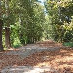 مشاور املاک دهکده سبز