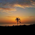 بوم‌گردی سلطان