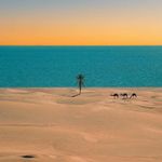 بوم‌گردی سلطان