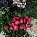 سبزیجات اصالت