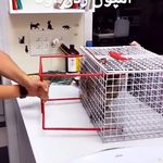 قفس واکسن سگ وگربه