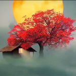دفترخدمات مسافرتی وجهانگردی