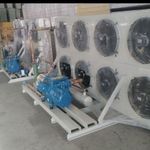 جمشید برودت