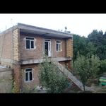 باغ گردو و پرورش زنبور عسل  عباد آقالو