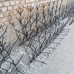 پارسیان حفاظ