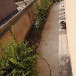 اجره سوییت اپارتمان