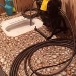 مصطفی موسی خانی