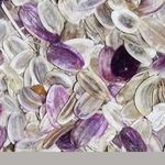 انغوزه آذری